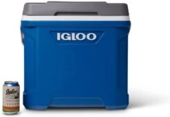 Igloo Latitude 30Qt Blue Cool Box 15 Igloo Latitude 30Qt Blue Cool Box -Outdoor Gear Sale 41U6tpXjhTL. AC SL1000
