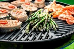 Cadac Carri Chef 2 BBQ Grid Plate 50 -Outdoor Gear Sale Carri Chef 2 Citi Chef BBQ grid