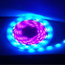 5M Flag Pole Pre-Set Digital Led Dream Lights Strip 16 5M Flag Pole Pre-Set Digital Led Dream Lights Strip -Outdoor Gear Sale digital 1 2 1